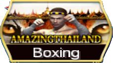 boxing slot png